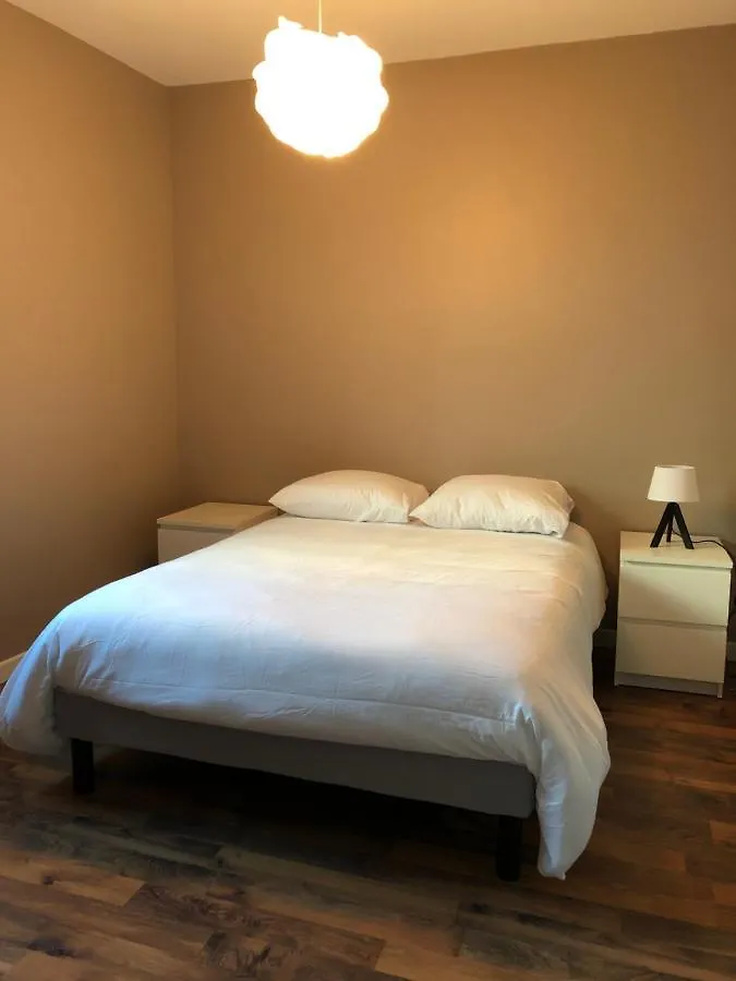 Appartement De 110M2 Au Centre De Cusset 0*,