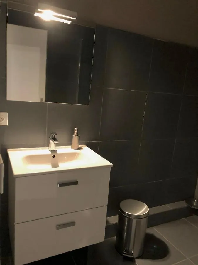 Appartement De 110M2 Au Centre De Cusset Frankrig