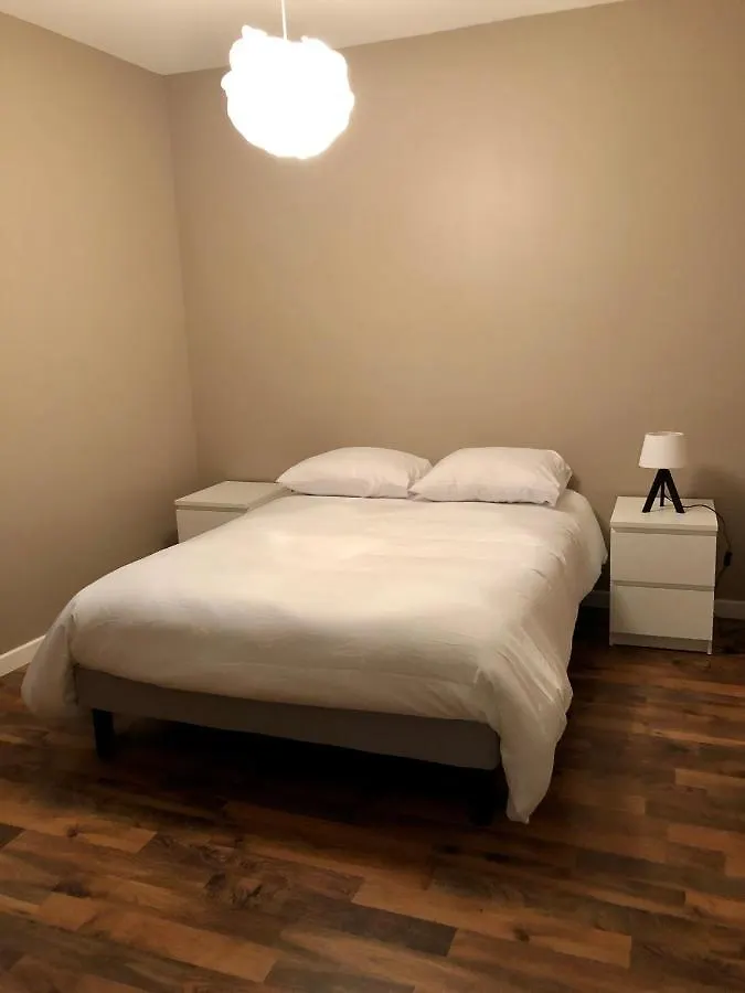 Lejlighed Appartement De 110M2 Au Centre De Cusset Frankrig
